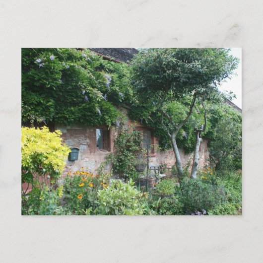 Carte Postale Cothelstone Manor, Cothelstone, Somerset, Royaume- (Devant)