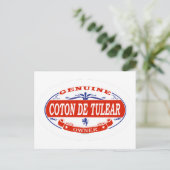 Carte Postale Coton De Tulear (Debout devant)