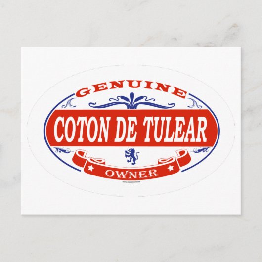 Carte Postale Coton De Tulear (Devant)