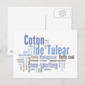 Carte Postale Coton de Tulear (Devant / Derrière)