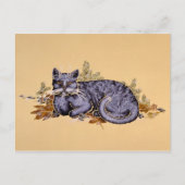 Carte Postale Coton d'hiver (Devant)