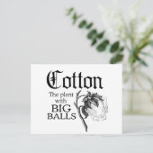 CARTE POSTALE COTON LE PLANTE AVEC DE GRANDES BALLES (Debout devant)
