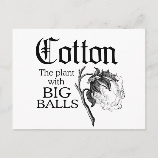 CARTE POSTALE COTON LE PLANTE AVEC DE GRANDES BALLES (Devant)