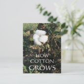 Carte Postale Coton-tige (Debout devant)