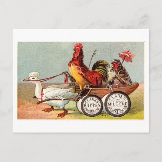 Carte Postale Coton vintage de bascule de Clark (Devant)