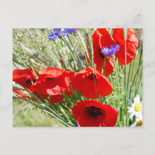 Carte Postale Cottage jardin, Rosalinde