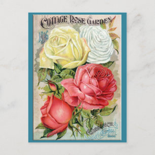 Carte Postale Cottage Rose Garden