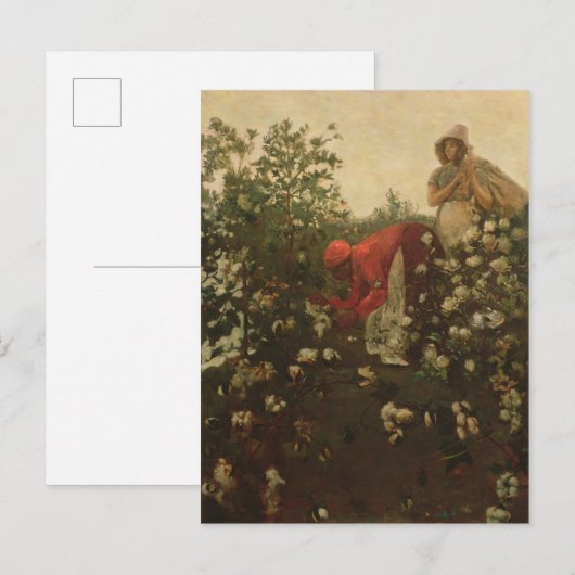 Carte Postale Cotton (Devant / Derrière)