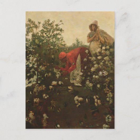 Carte Postale Cotton (Devant)