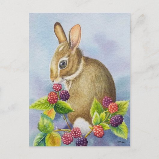 Carte Postale Cottontail Rabbit et Blackberries Watercolor Art (Devant)