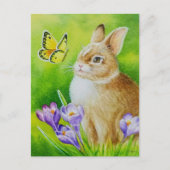 Carte Postale Cottontail Rabbit Papillon Crocus Aquarelle Art (Devant)