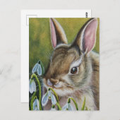 Carte Postale Cottontail Rabbit & Snowdrops Aquarelle Art (Devant / Derrière)