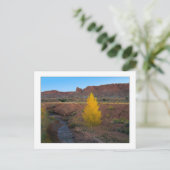 Carte Postale "Cottonwood solitaire" (Debout devant)