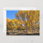 Carte postale : Cottonwoods Jaune (Devant / Derrière)