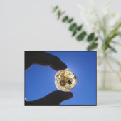 Carte Postale Cou de Jessups, Long Island (Debout devant)