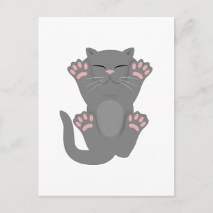 Carte Postale Couchage de chat