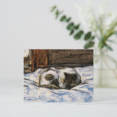 Carte Postale Couchage de chat sur un lit (Debout devant)
