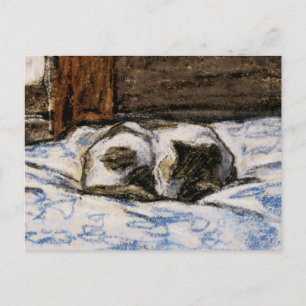 Carte Postale Couchage de chat sur un lit