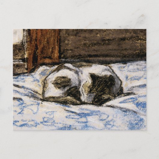 Carte Postale Couchage de chat sur un lit (Devant)