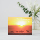 Carte Postale Couche de soleil (Debout devant)