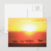 Carte Postale Couche de soleil (Devant / Derrière)