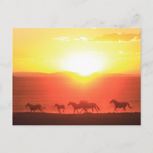 Carte Postale Couche de soleil (Devant)