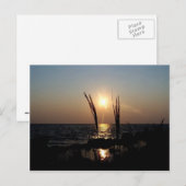 Carte Postale Couché de soleil de Floride (Devant / Derrière)