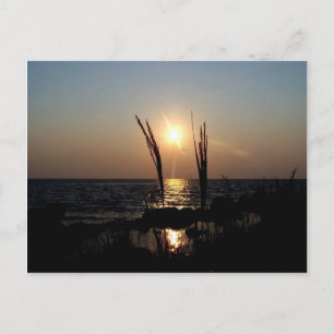 Carte Postale Couché de soleil de Floride