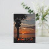 Carte Postale Couché de soleil de Floride (Debout devant)