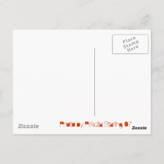 Carte Postale Couché de soleil de Floride (Dos)