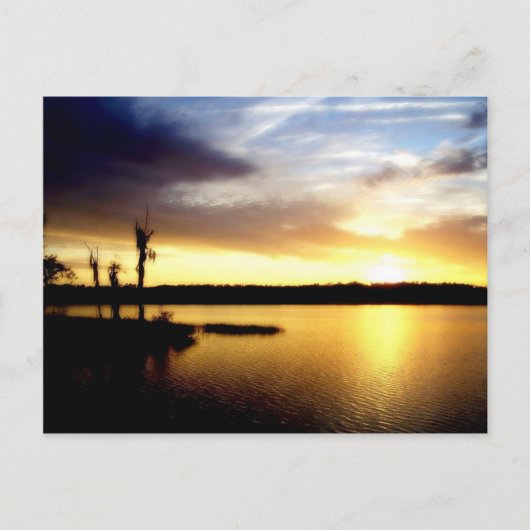 Carte Postale Couché de soleil de Floride (Devant)