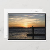 Carte Postale Couché de soleil de Floride avec Pélican (Devant / Derrière)