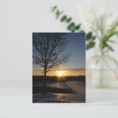 Carte Postale Couché de soleil du Vermont (Debout devant)