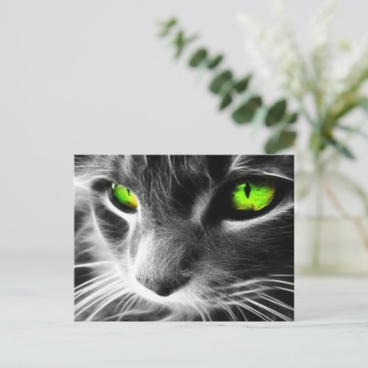 Carte Postale Couche gris vert yeux (Debout devant)