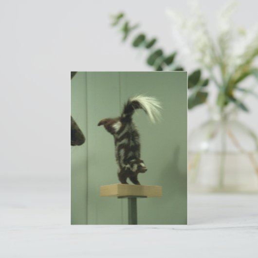 Carte Postale Couche tachetée; exposition au musée (Debout devant)