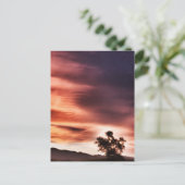 Carte Postale coucher de soleil" (Debout devant)