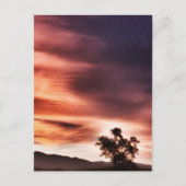 Carte Postale coucher de soleil" (Devant)