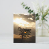 Carte Postale coucher de soleil (Debout devant)