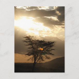Carte Postale coucher de soleil