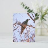 Carte Postale coucher de soleil (Debout devant)