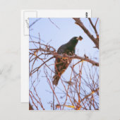 Carte Postale coucher de soleil (Devant / Derrière)