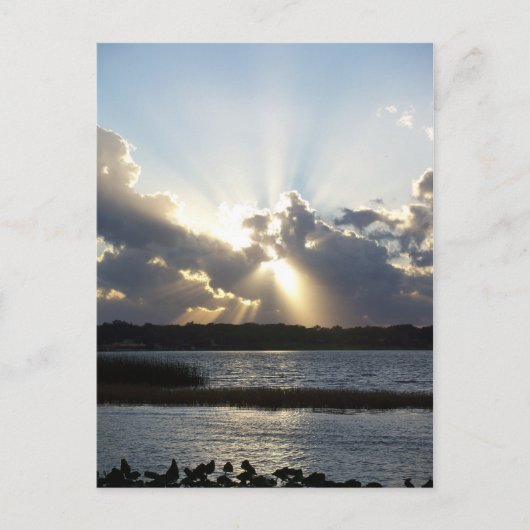 Carte Postale Coucher de soleil 167 Floride Coucher de soleil (Devant)