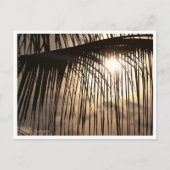 Carte Postale Coucher de soleil à Bali sur une feuille de palmie (Devant)