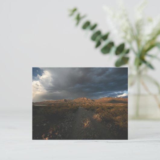 Carte Postale "Coucher de soleil à Eagle Point" (Debout devant)