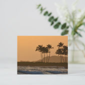 Carte Postale Coucher de soleil à Kauai (Debout devant)