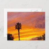 Carte Postale Coucher de soleil à Palm Springs (Devant / Derrière)