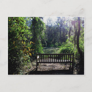 Carte Postale Coucher de soleil à Phinizy Swamp Park Augusta, GA