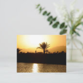 Carte Postale Coucher de soleil à Sharm el Sheikh, Egypte (Debout devant)