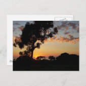 Carte Postale Coucher de soleil à Torrey Pines (Devant / Derrière)