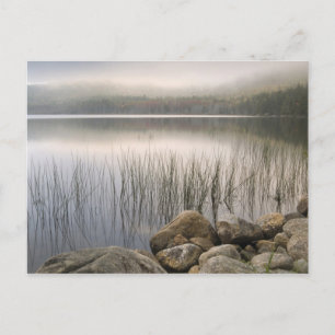 Carte Postale Coucher de soleil à travers le brouillard sur l'ét
